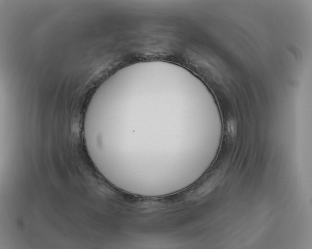 X0000113881300200910081738