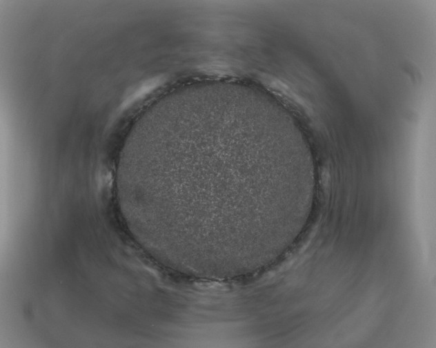 X0000113881302200910081738