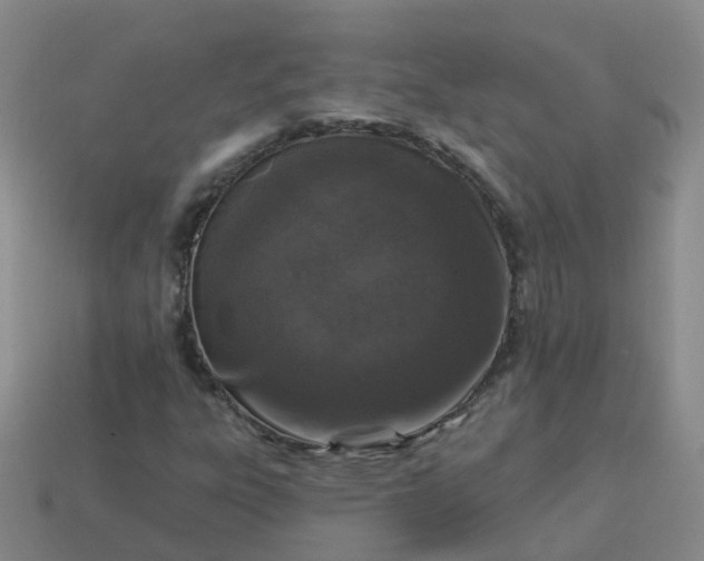 X0000113881303200910081738