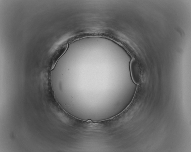 X0000113881304200910081738