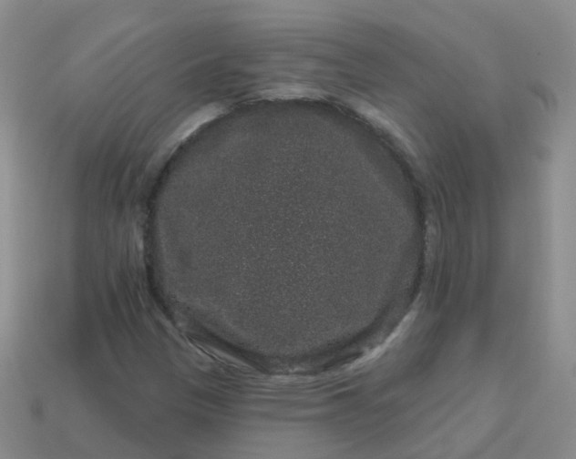 X0000113881305200910081738