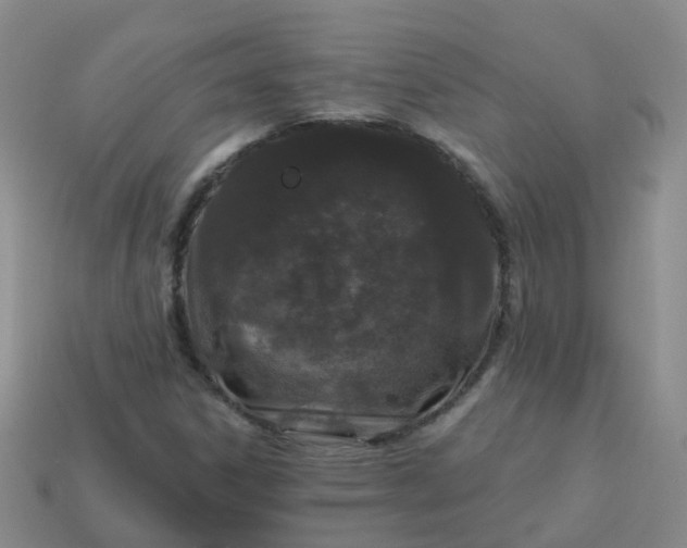 X0000113881306200910081738