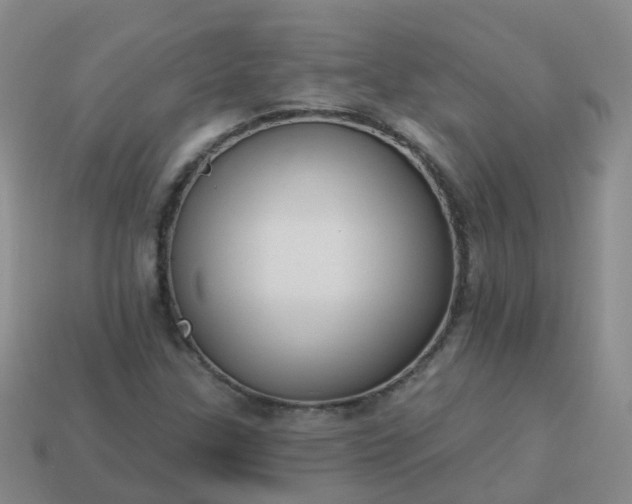 X0000113881307200910081738