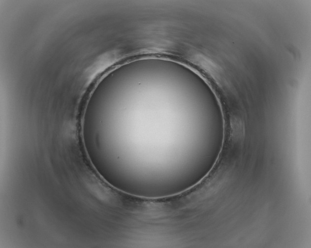 X0000113881308200910081738