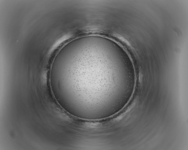 X0000113881309200910081738