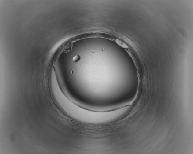 X0000113881310200910081739