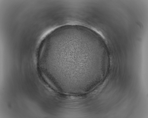 X0000113881311200910081739