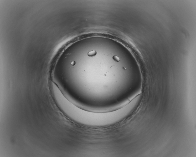 X0000113881312200910081739