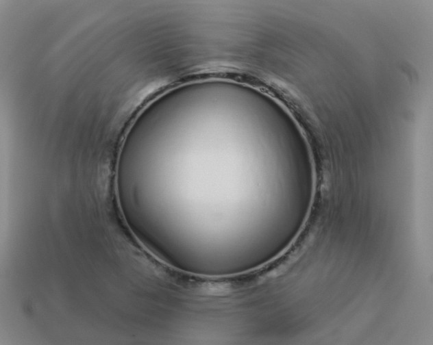 X0000113881313200910081739