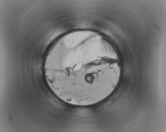 X0000113881314200910081739