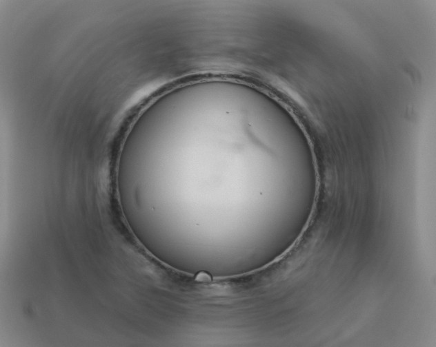 X0000113881315200910081739