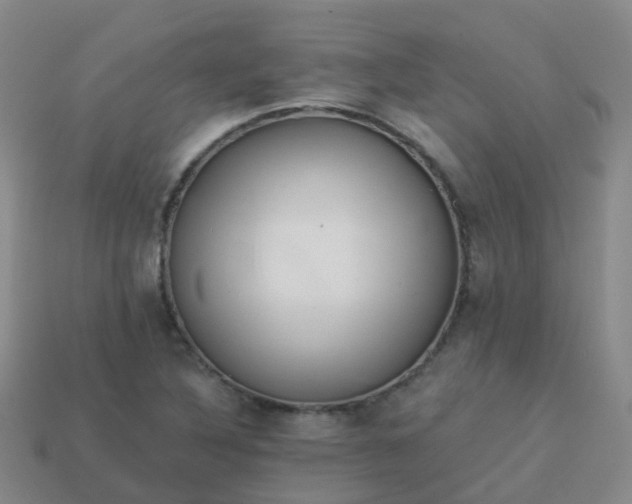 X0000113881316200910081739