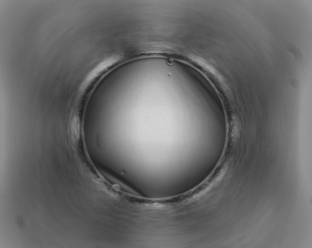 X0000113881317200910081739