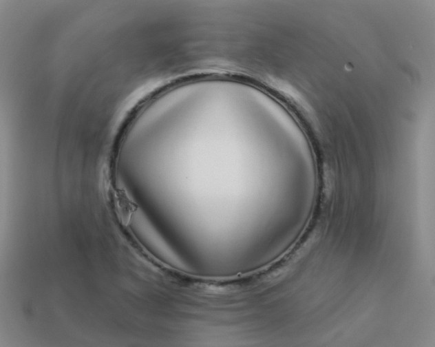 X0000113881318200910081739