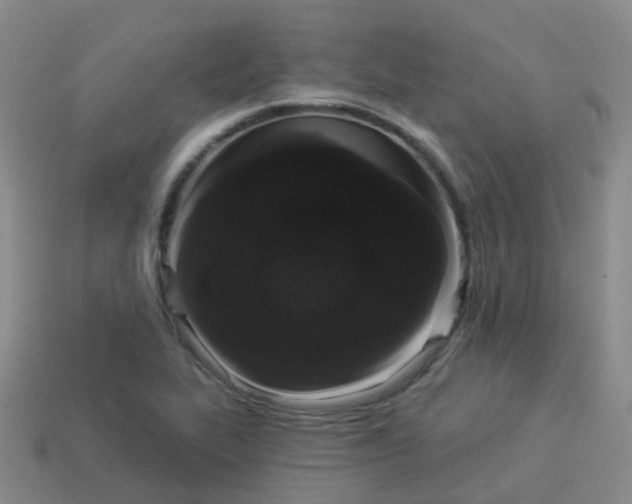 X0000113881319200910081739