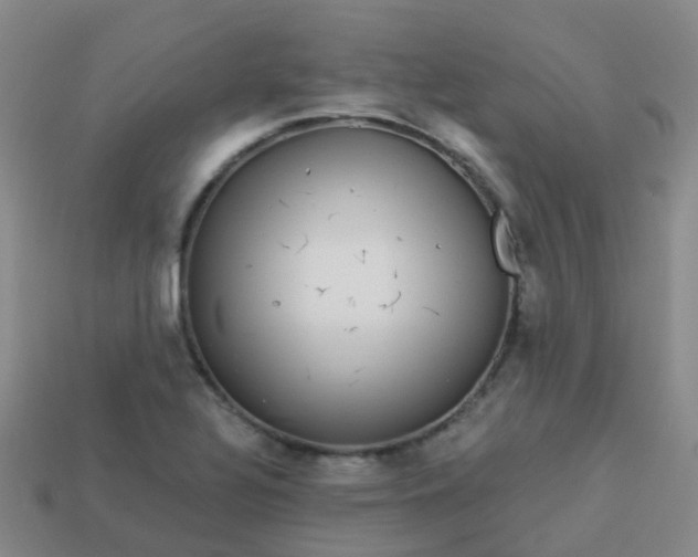 X0000113881320200910081739