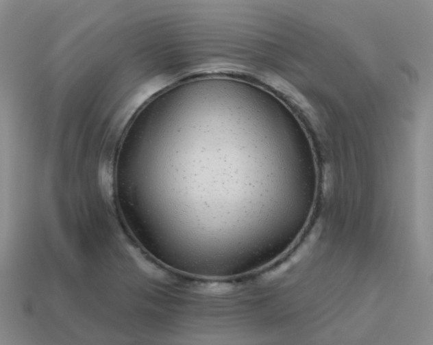 X0000113881321200910081739