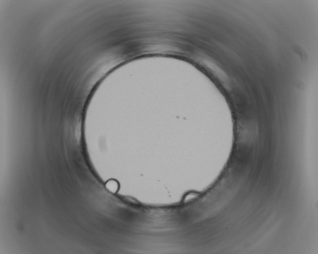 X0000113881322200910081739