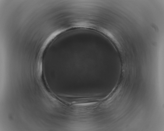 X0000113881323200910081739