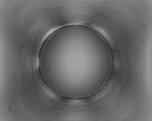 X0000113881324200910081739