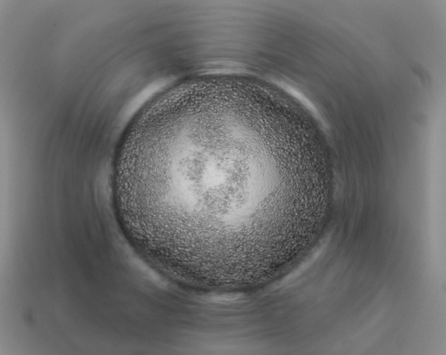 X0000113881325200910081739