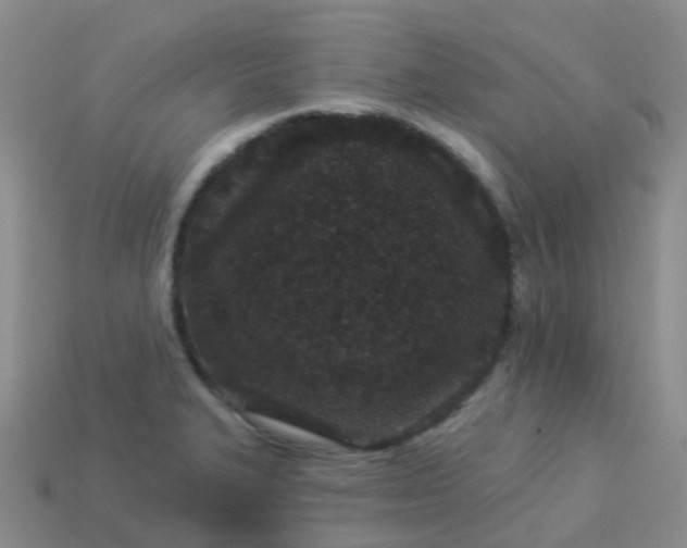 X0000113881327200910081739