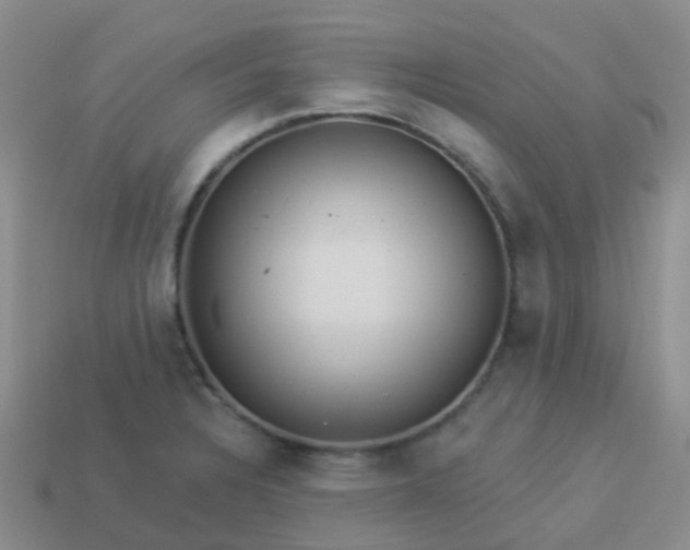 X0000113881328200910081739