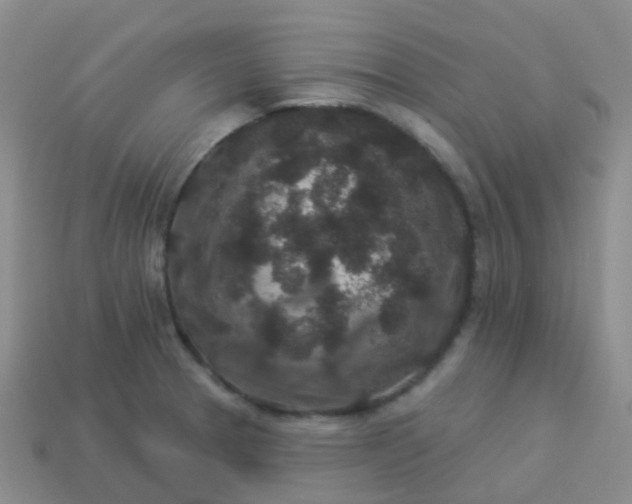 X0000113881329200910081739