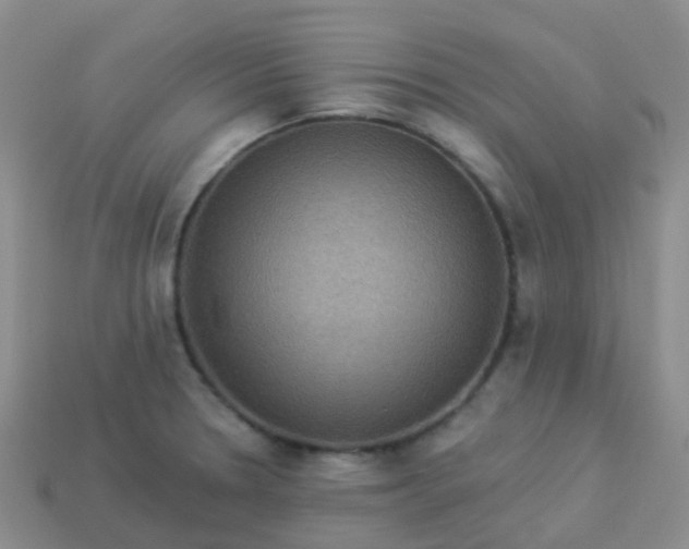 X0000113881330200910081739