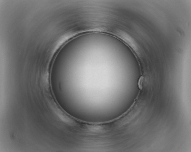 X0000113881332200910081739