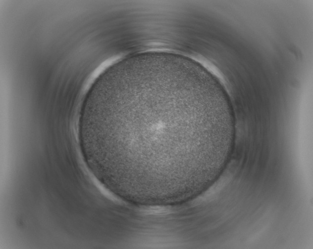 X0000113881333200910081739