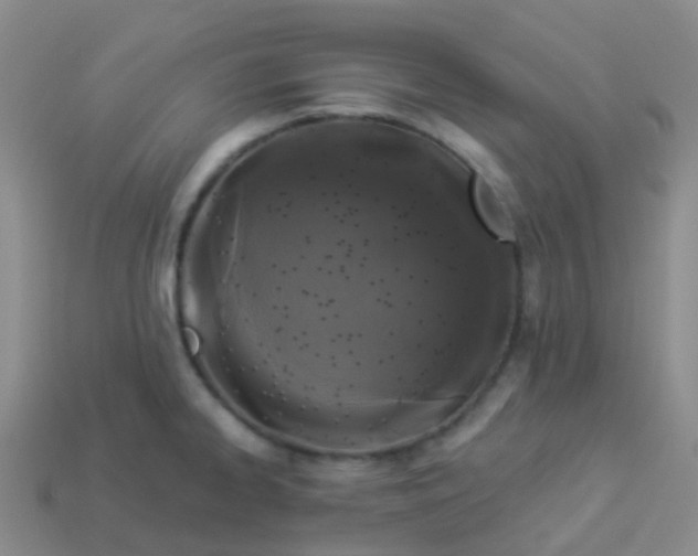 X0000113881334200910081739