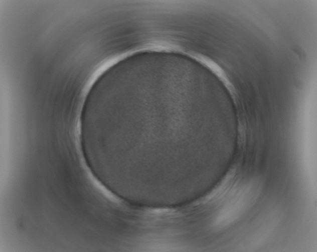 X0000113881335200910081739