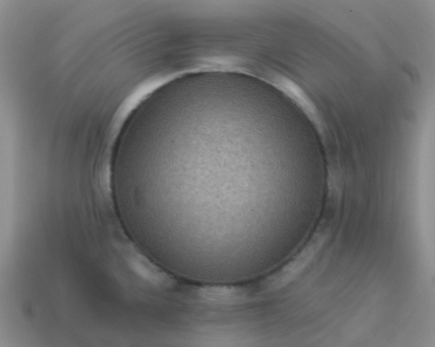 X0000113881336200910081739