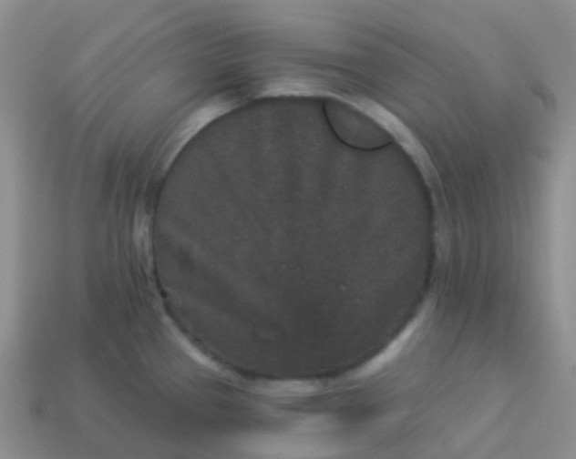 X0000113881337200910081739