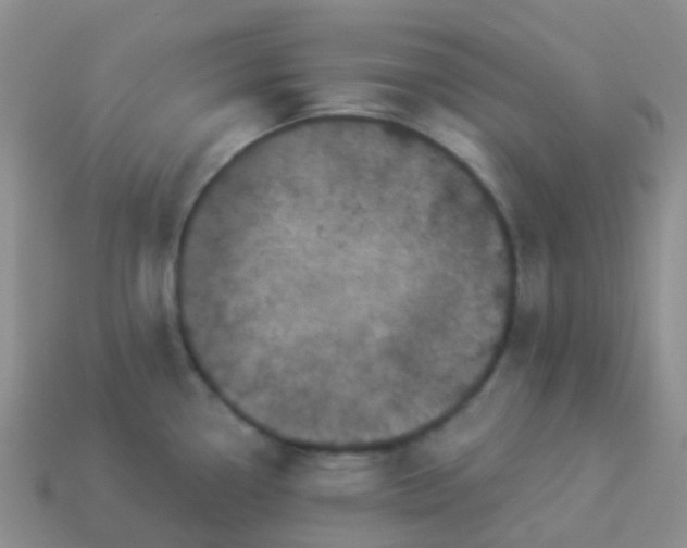 X0000113881338200910081739