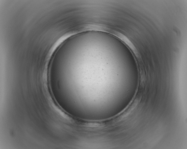 X0000113881339200910081739