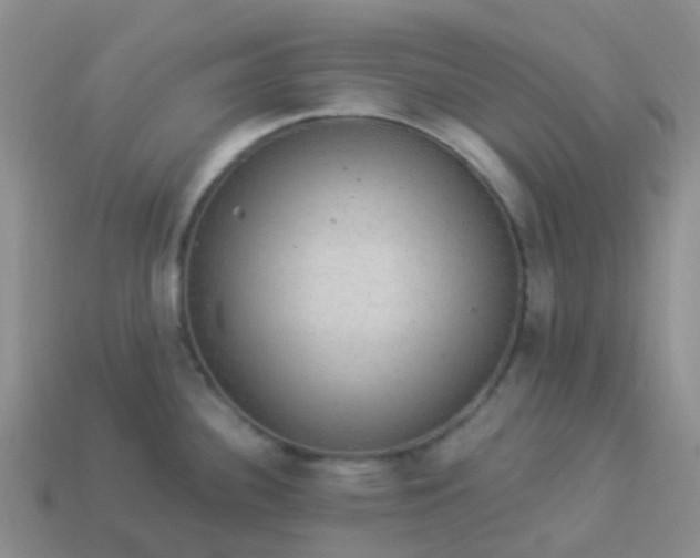 X0000113881340200910081739