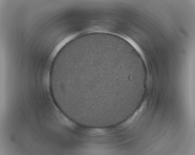 X0000113881341200910081739