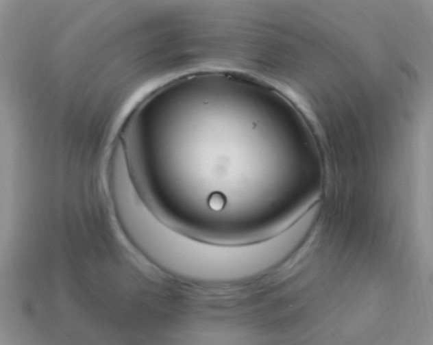 X0000113881342200910081739