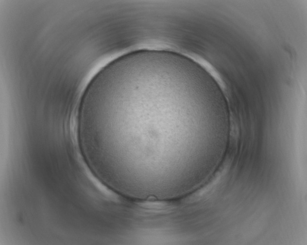 X0000113881343200910081739