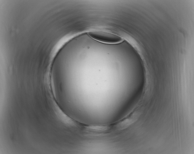 X0000113881344200910081739