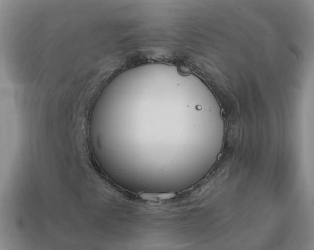 X0000113881345200910081738