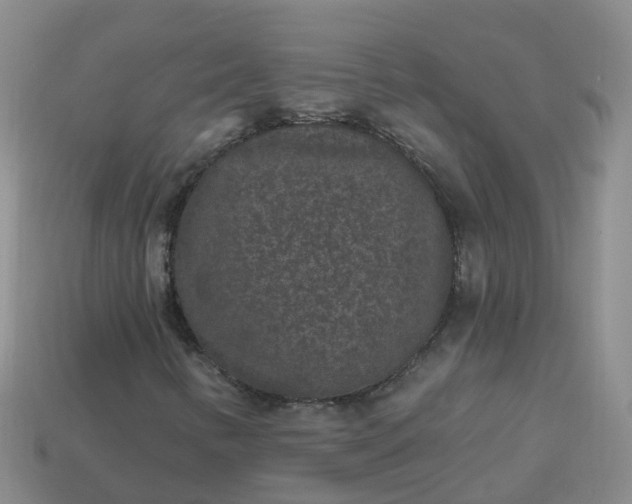 X0000113881346200910081738