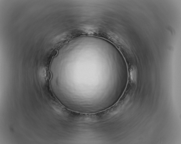 X0000113881347200910081738