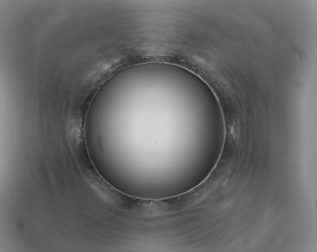 X0000113881348200910081738