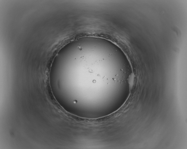 X0000113881349200910081738