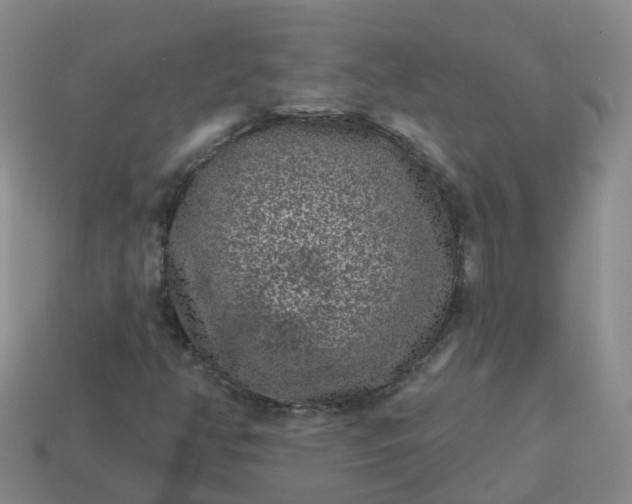 X0000113881350200910081738