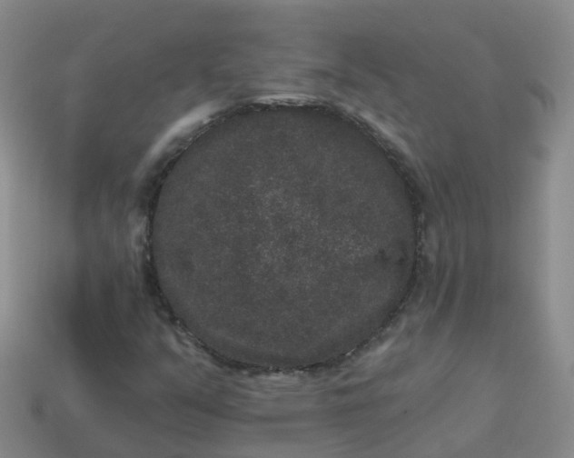 X0000113881351200910081738