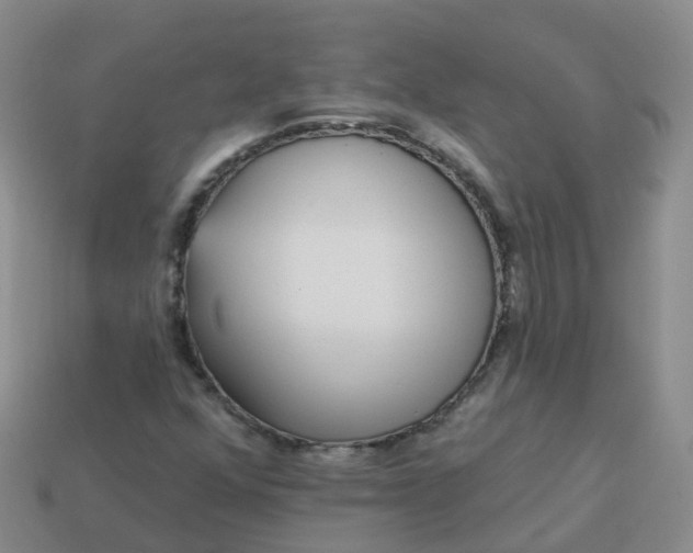 X0000113881352200910081738